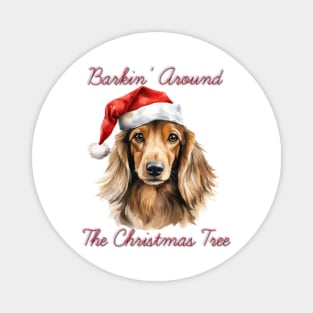 Christmas Longhaired Dachshund Dog in Santa Hat Magnet